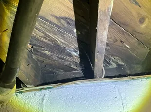 Mold on basement subfloor found during a home inspection in Willowick.