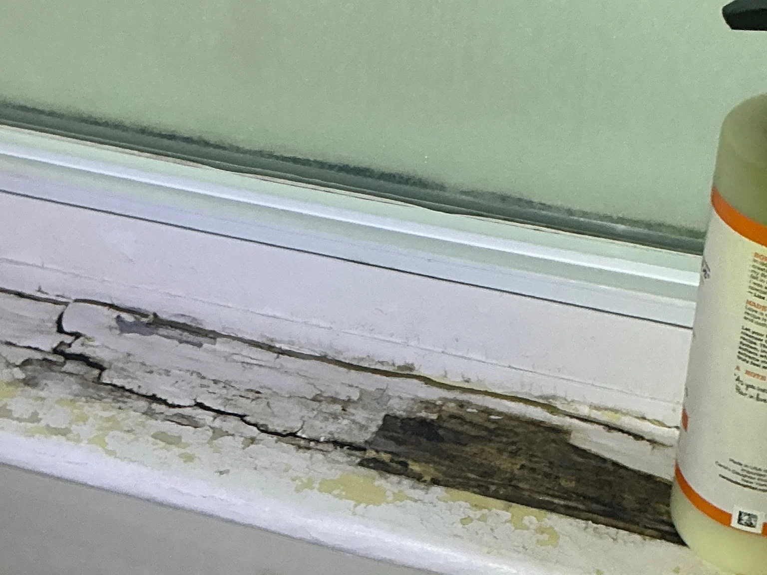 Our mold inspector found this surface mold in Alliance.