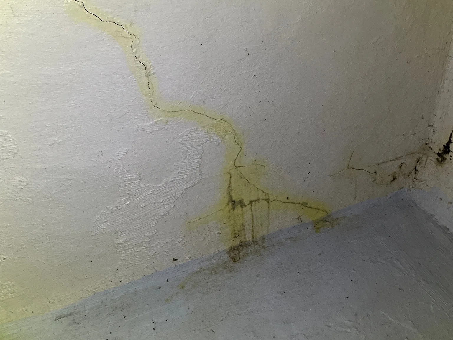 Mold found during a home inspection in Alliance.