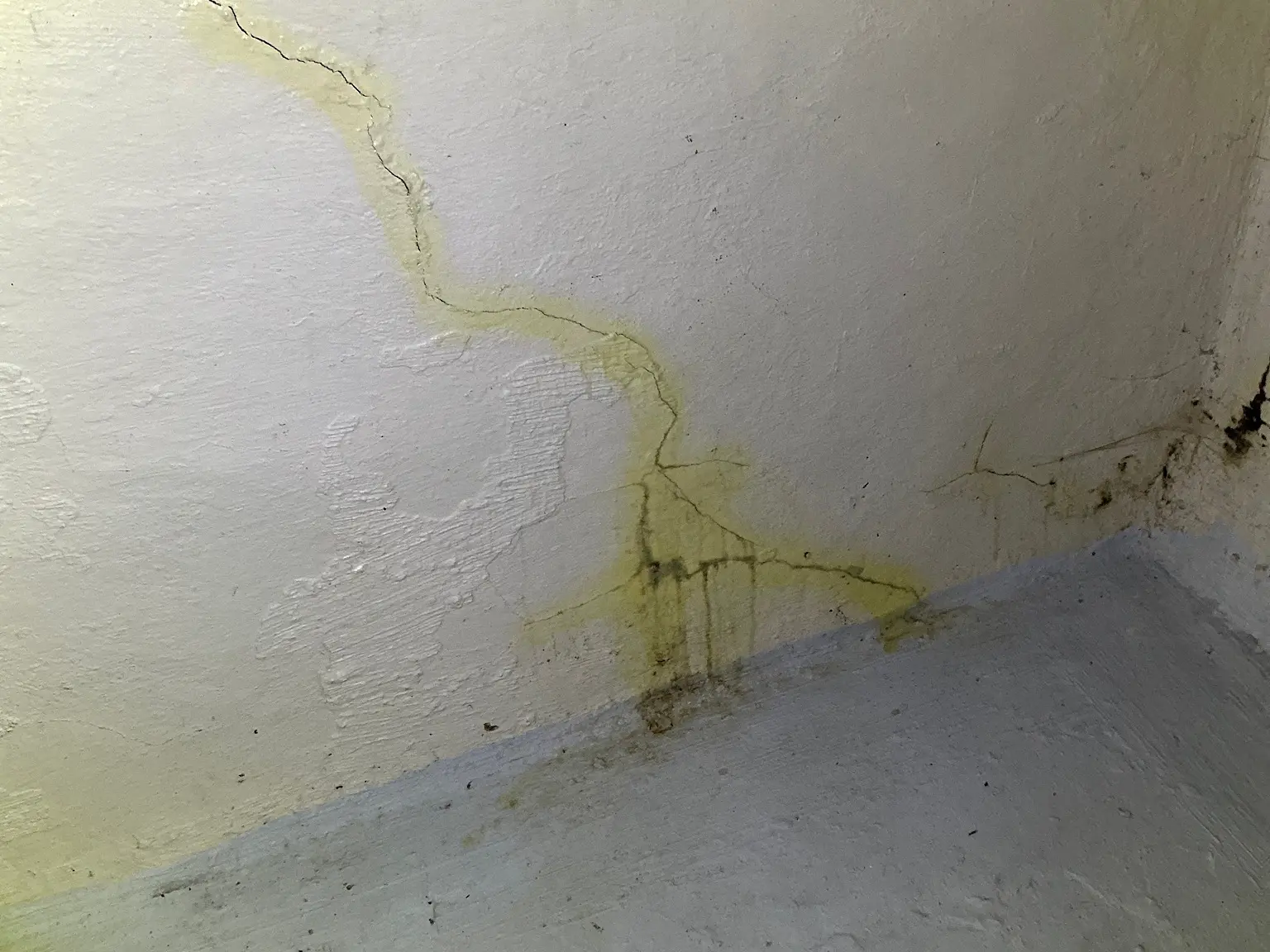 Mold found during a commercial mold inspection in Alliance.