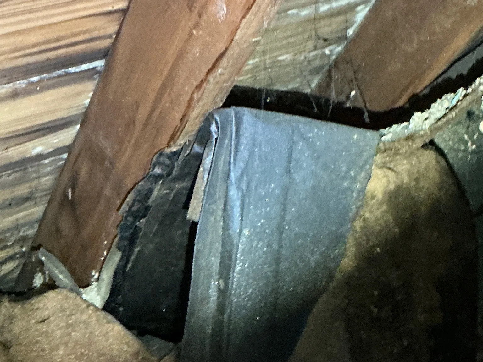 Look at what our mold inspector found in Aurora..