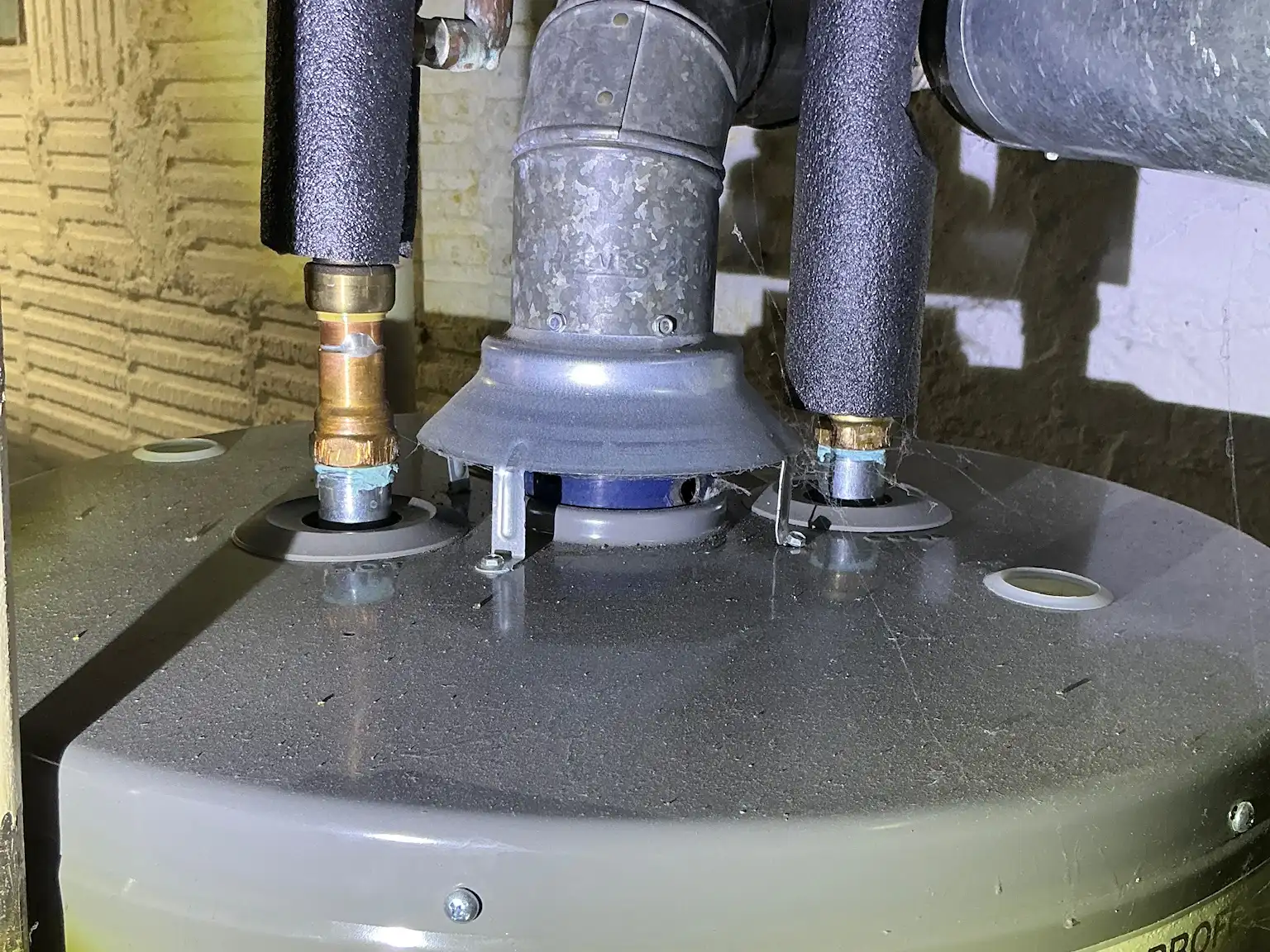 Mold found on a surface during an inspection in Aurora.