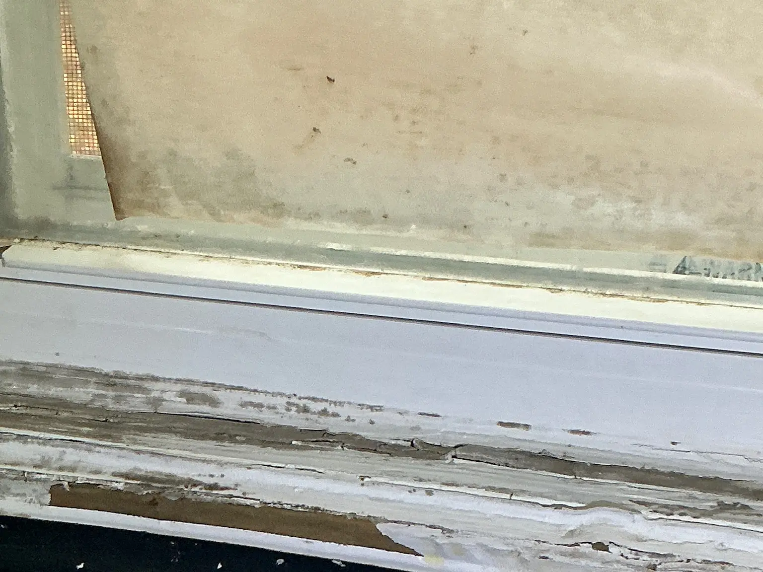 Mold inspection in Aurora.