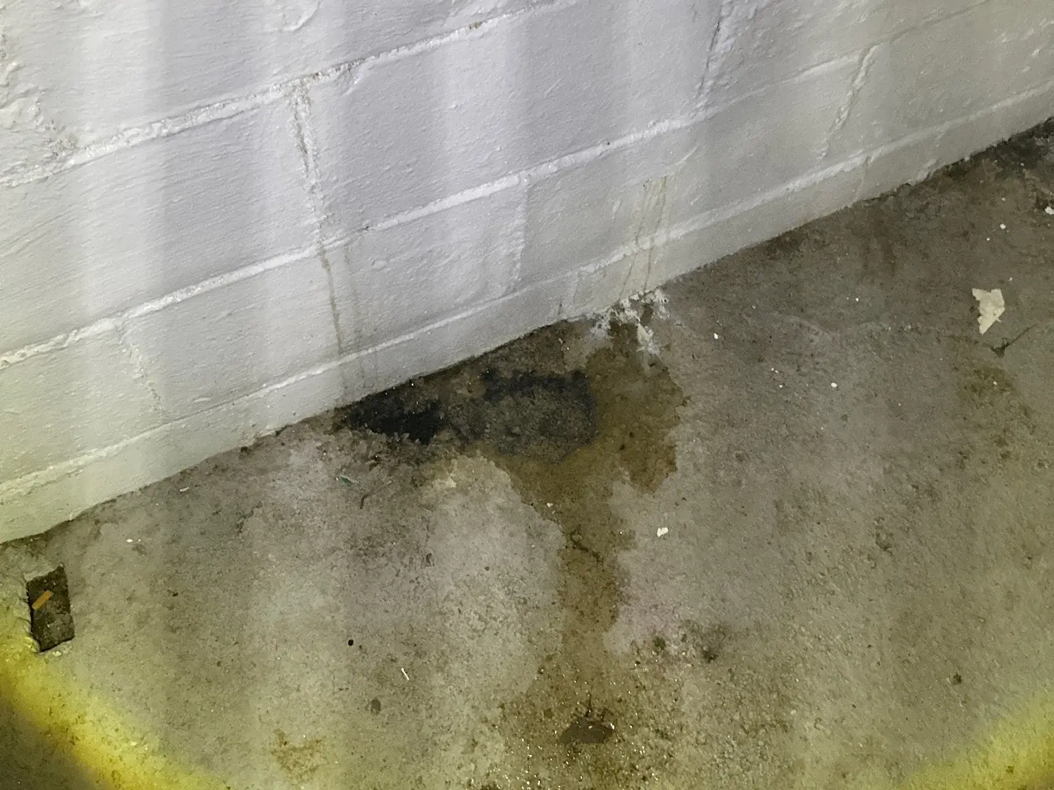 Mold found during a commercial mold inspection in Aurora.