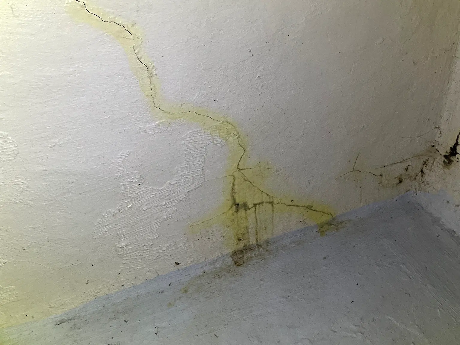 Mold inspection in Austintown.