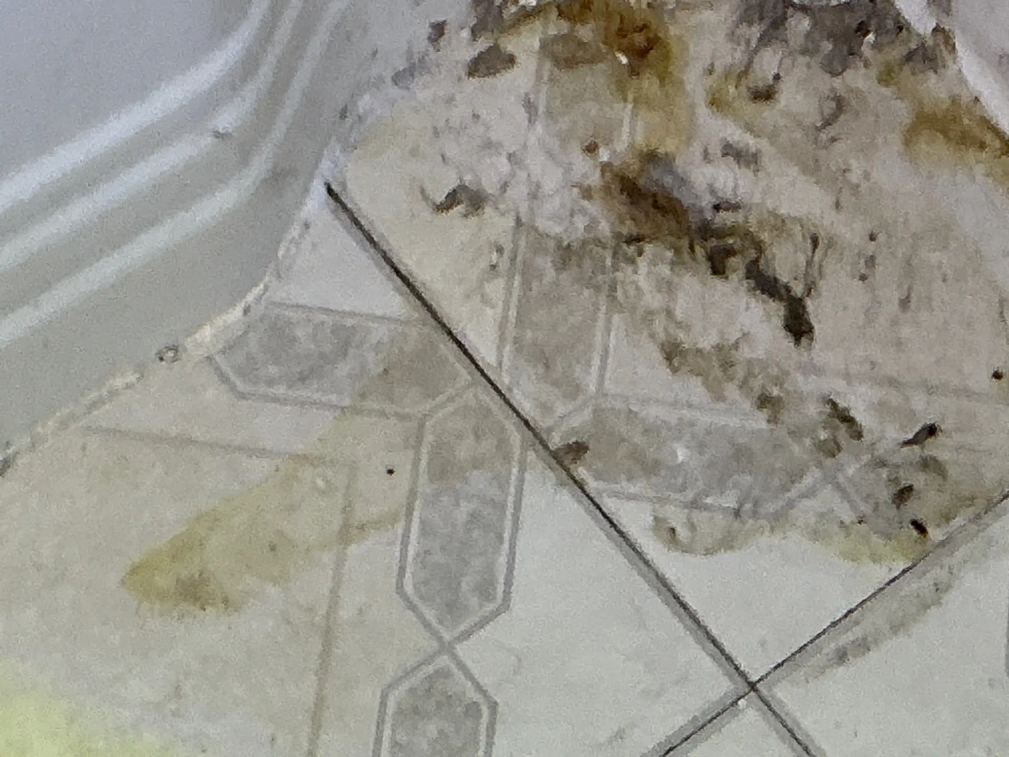 Our mold inspector found this surface mold in Austintown.