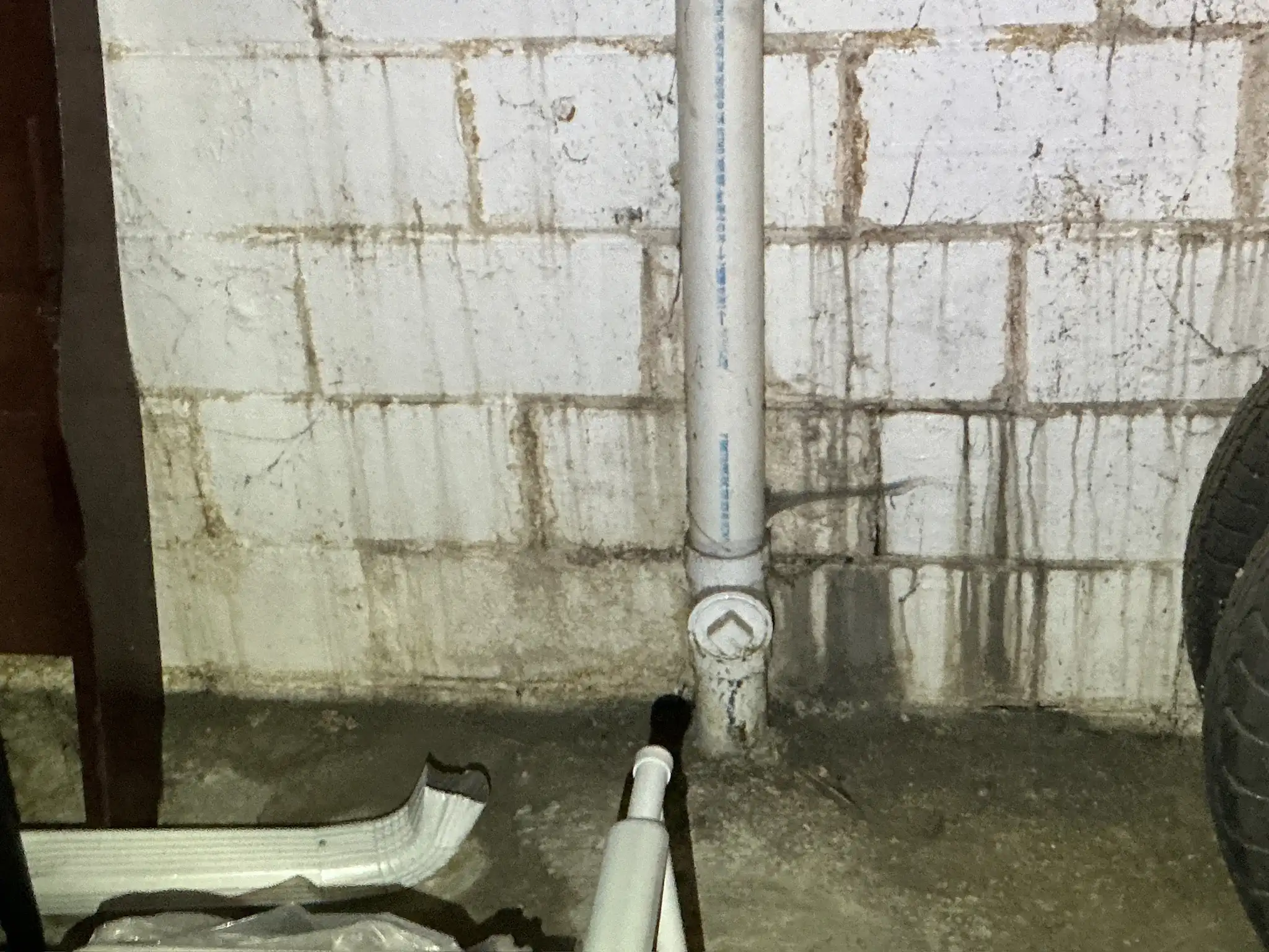 Mold found during a home inspection in Austintown.