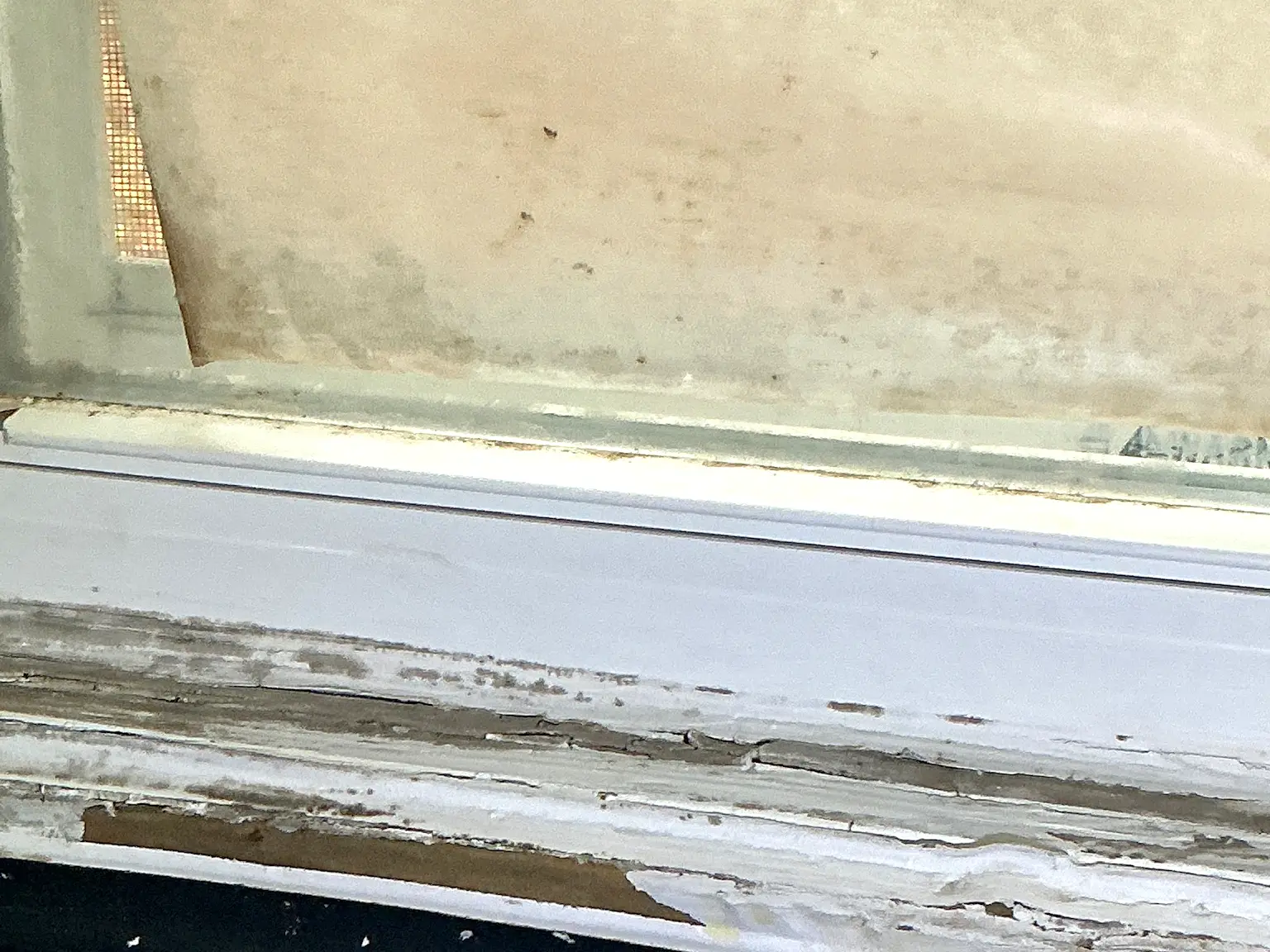 Mold found during a commercial mold inspection in Austintown.