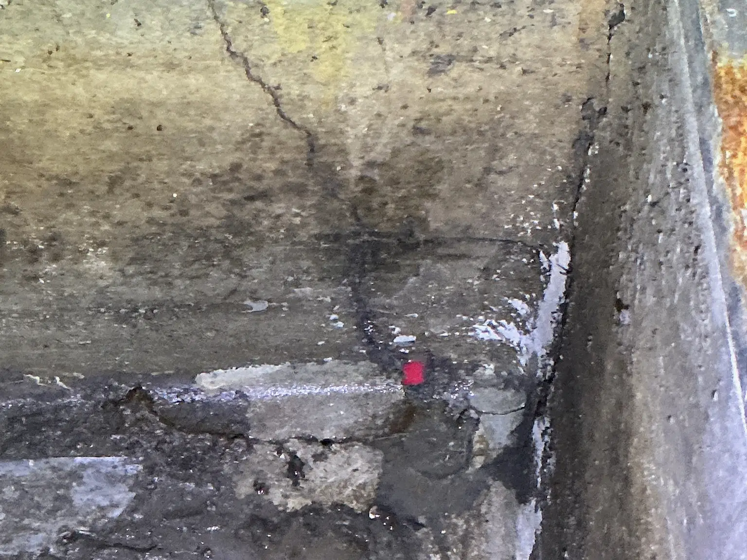 Look at what our mold inspector found in Barberton..