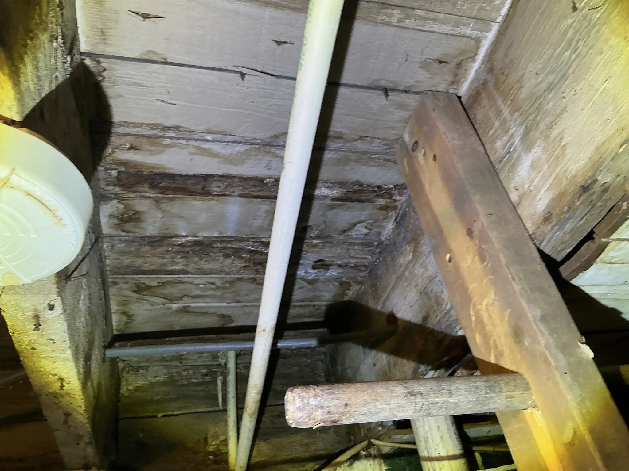 Mold found on a surface during an inspection in Barberton.