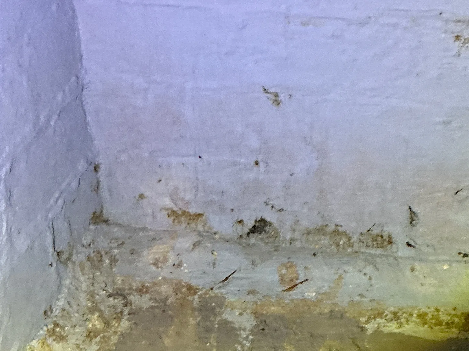 Mold inspection in Barberton.