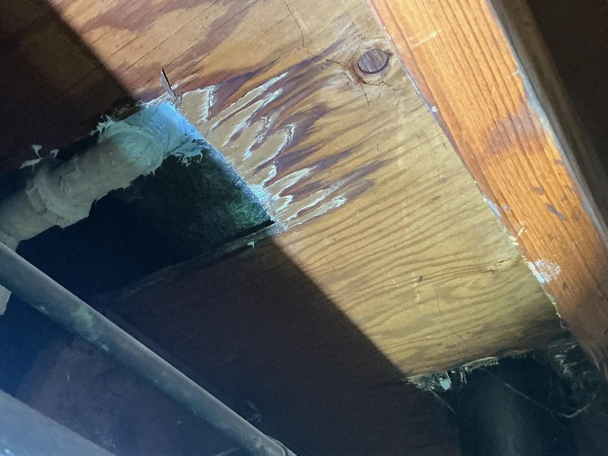 Our mold inspector found this surface mold in Barberton.