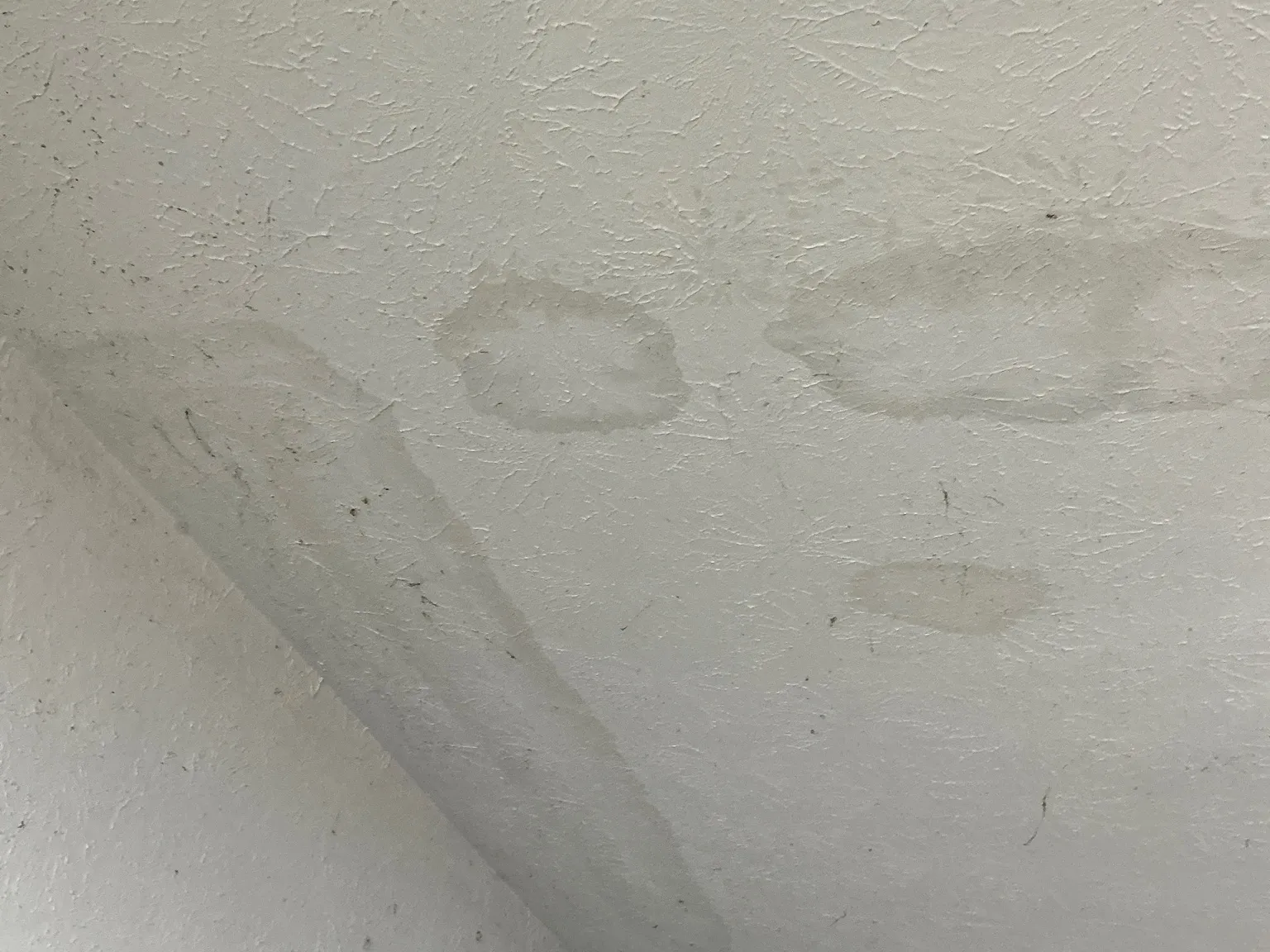 Look at what our mold inspector found in Bay Village..