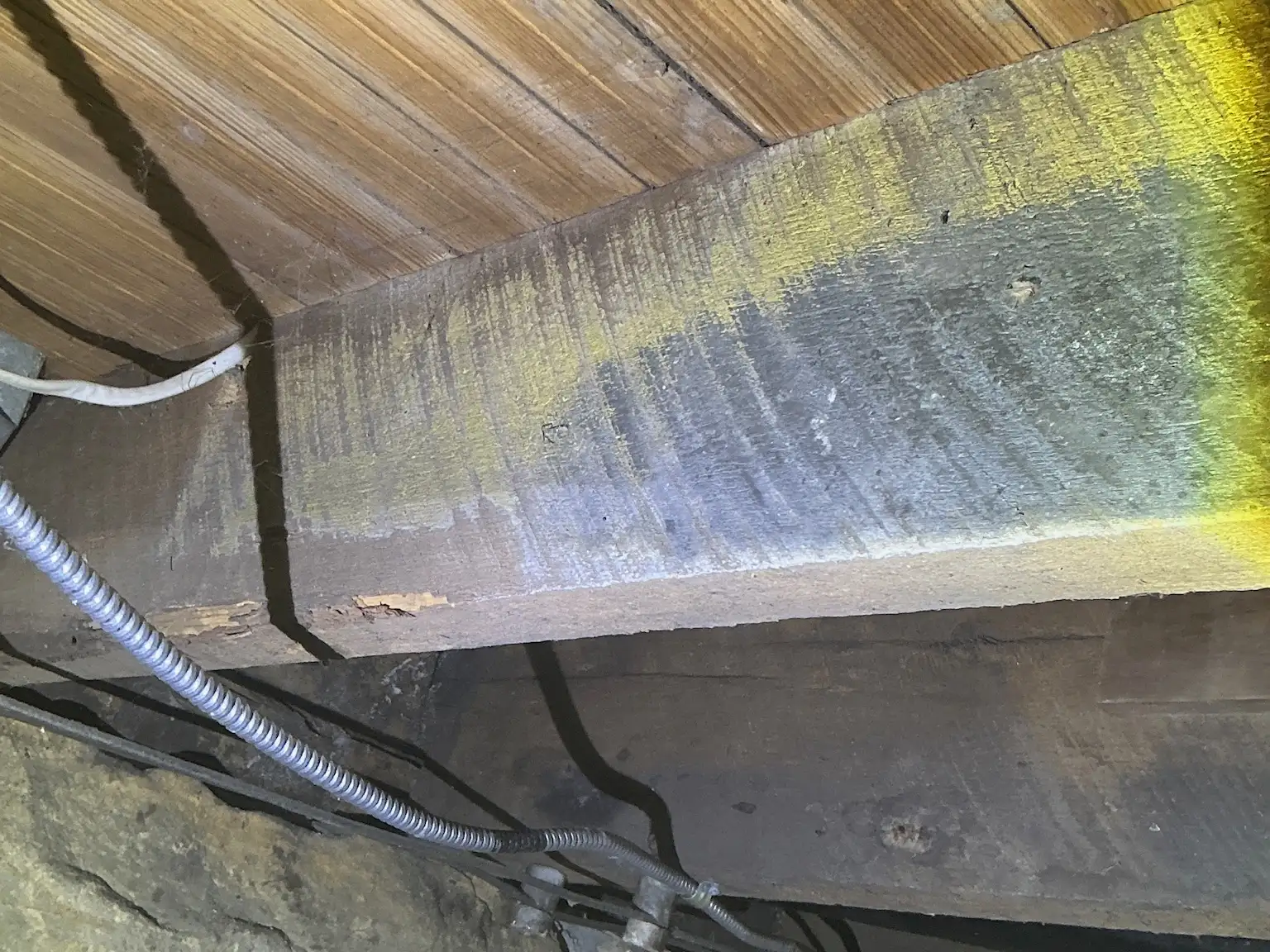 Mold found on a surface during an inspection in Bay Village.