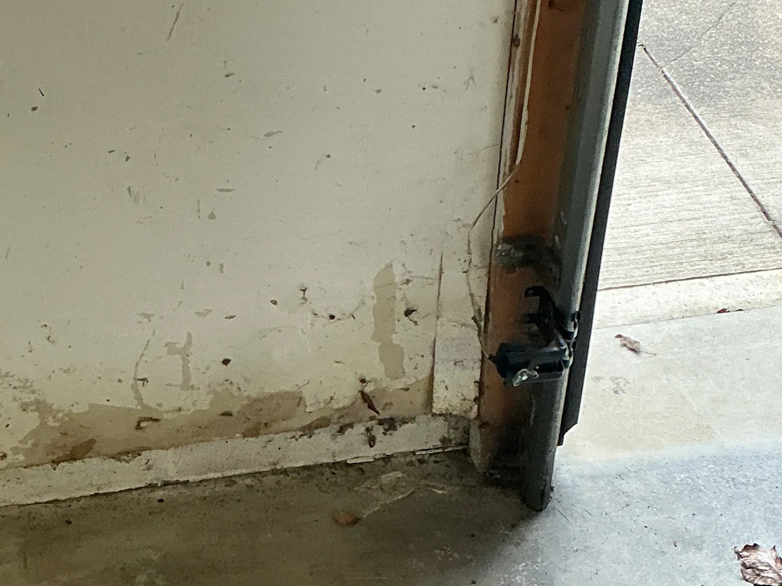 Mold inspection in Bay Village.