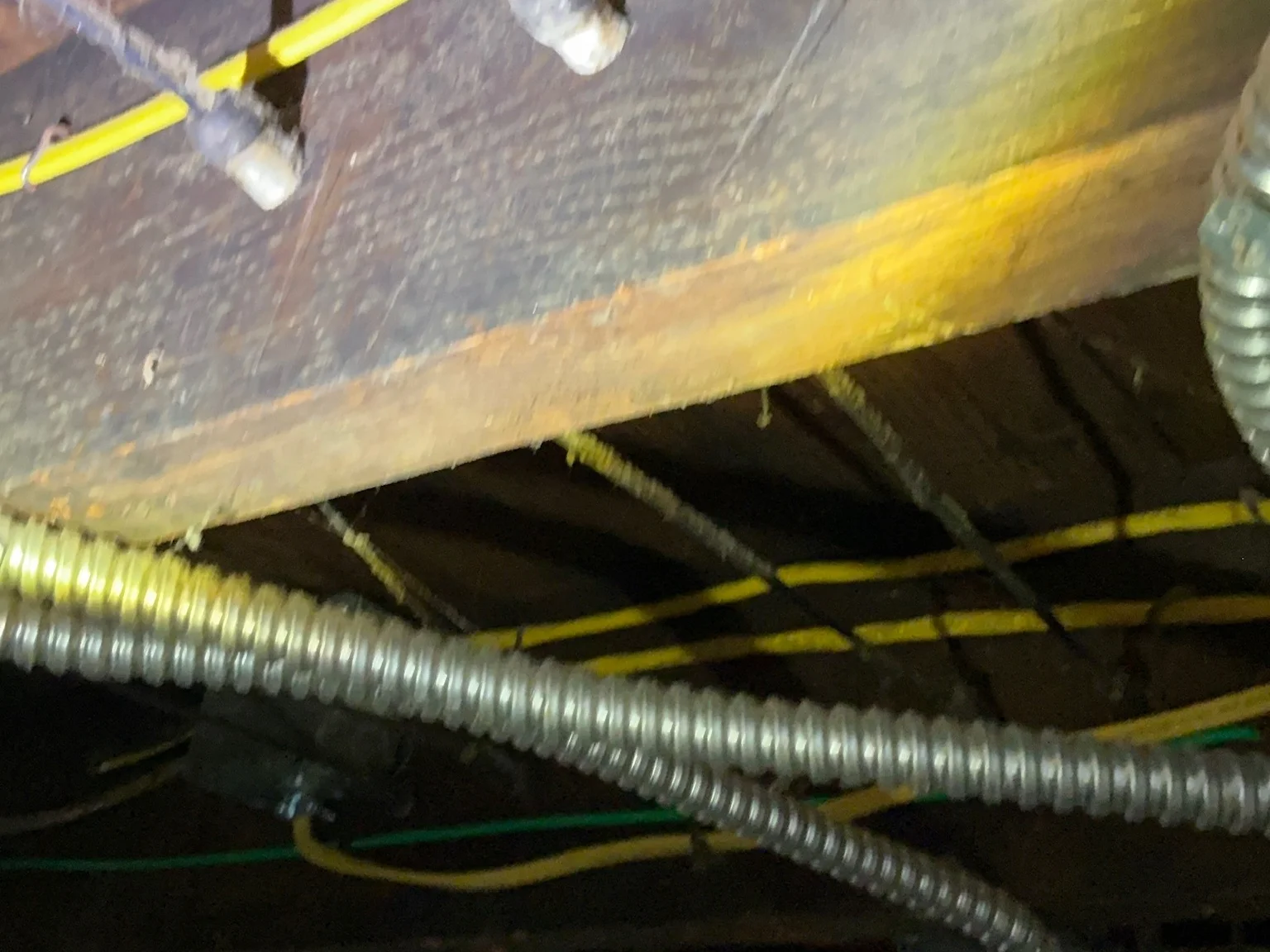 Mold found during a home inspection in Bay Village.