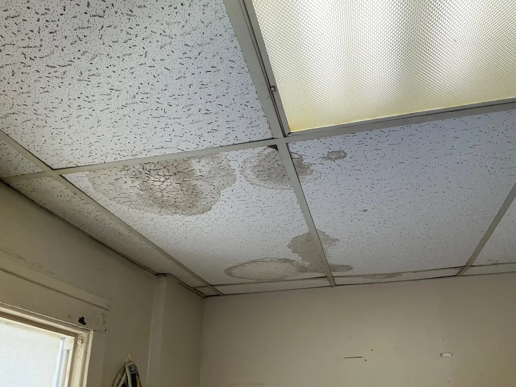 Mold found on a surface during an inspection in Beachwood.
