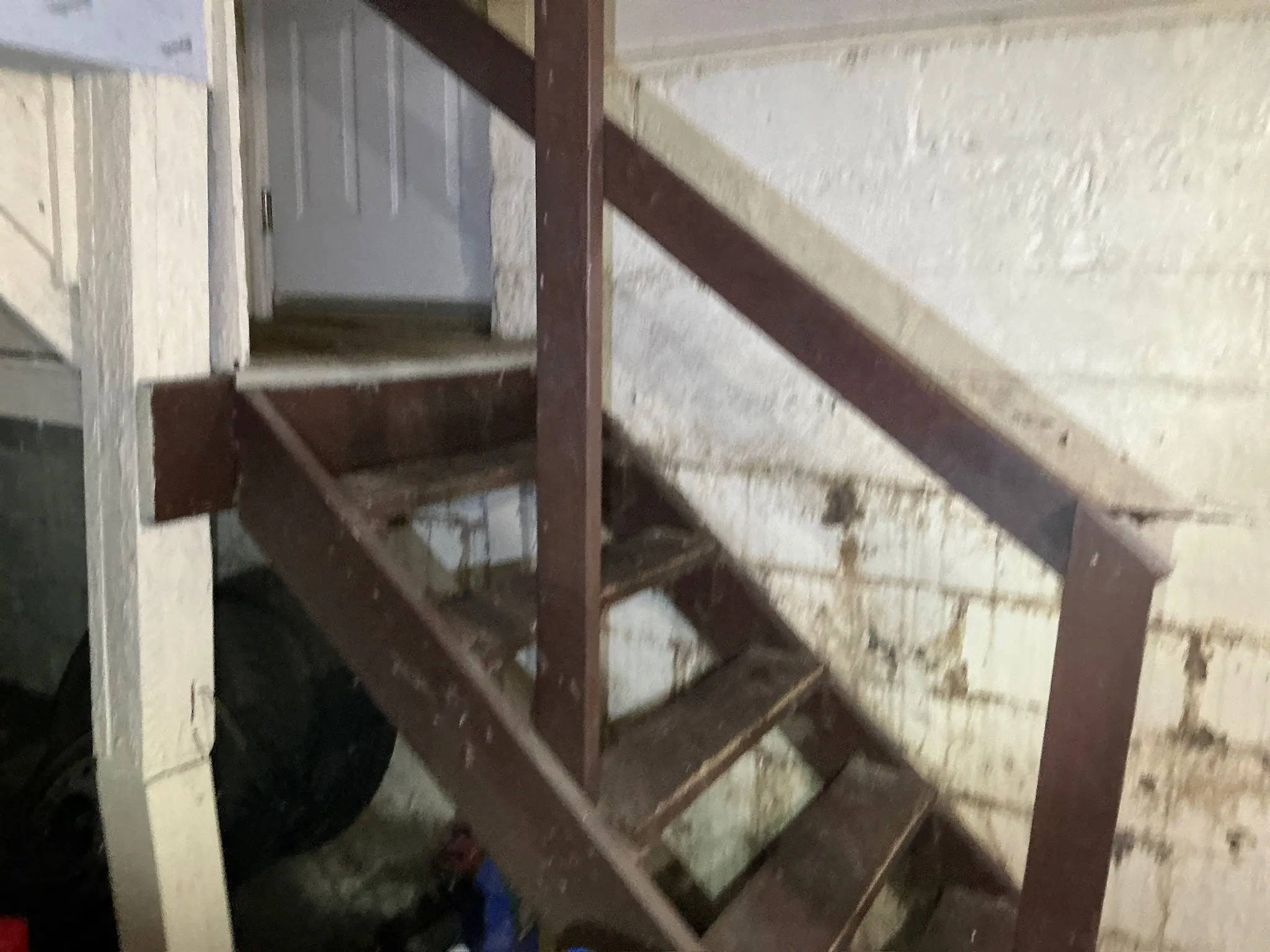 Our mold inspector found this surface mold in Beachwood.
