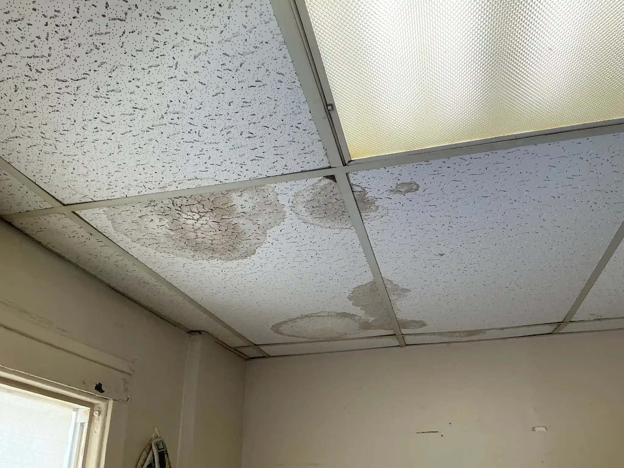 Mold found during a commercial mold inspection in Beachwood.
