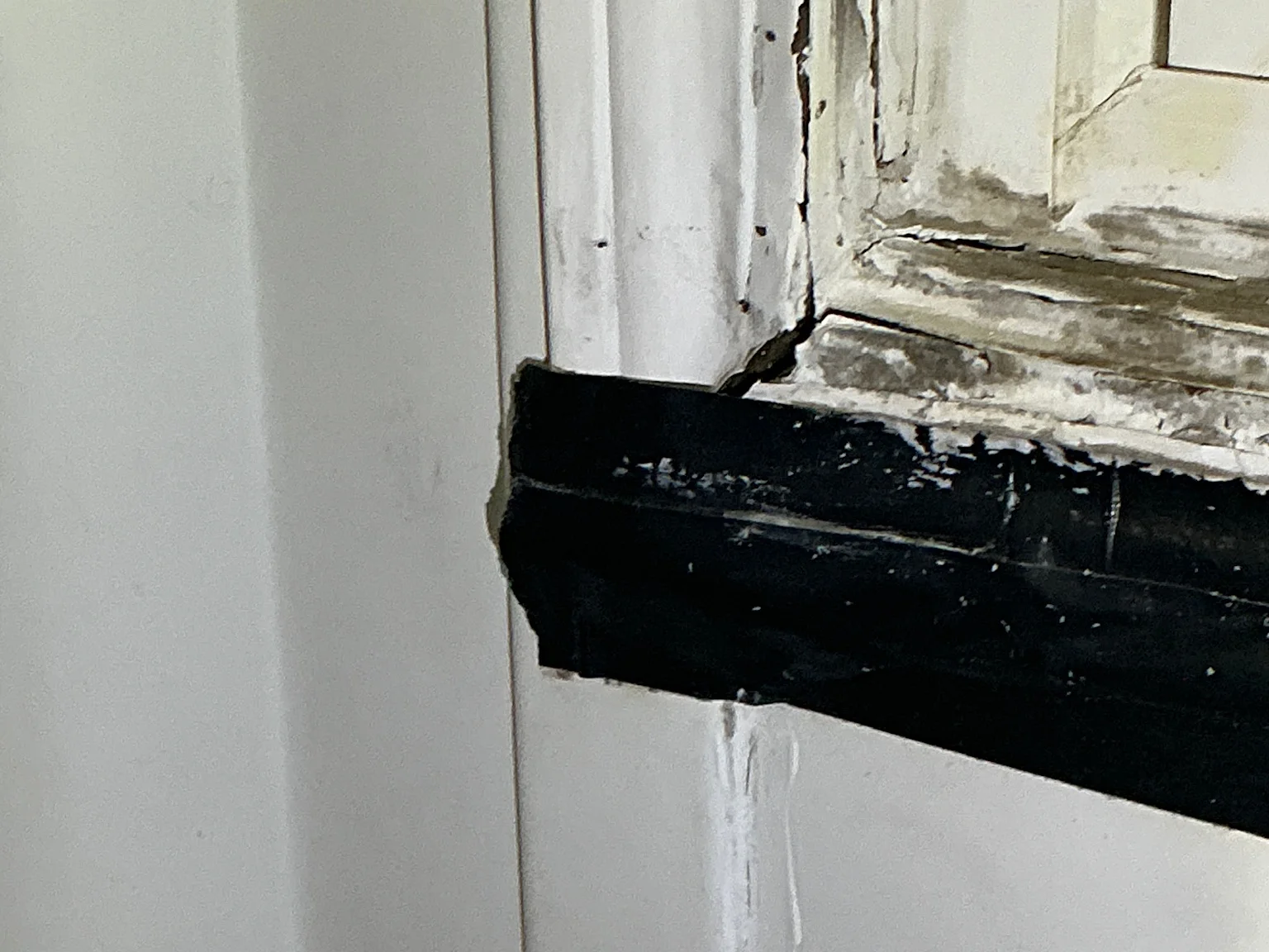 Mold found on a surface during an inspection in Bedford Heights.