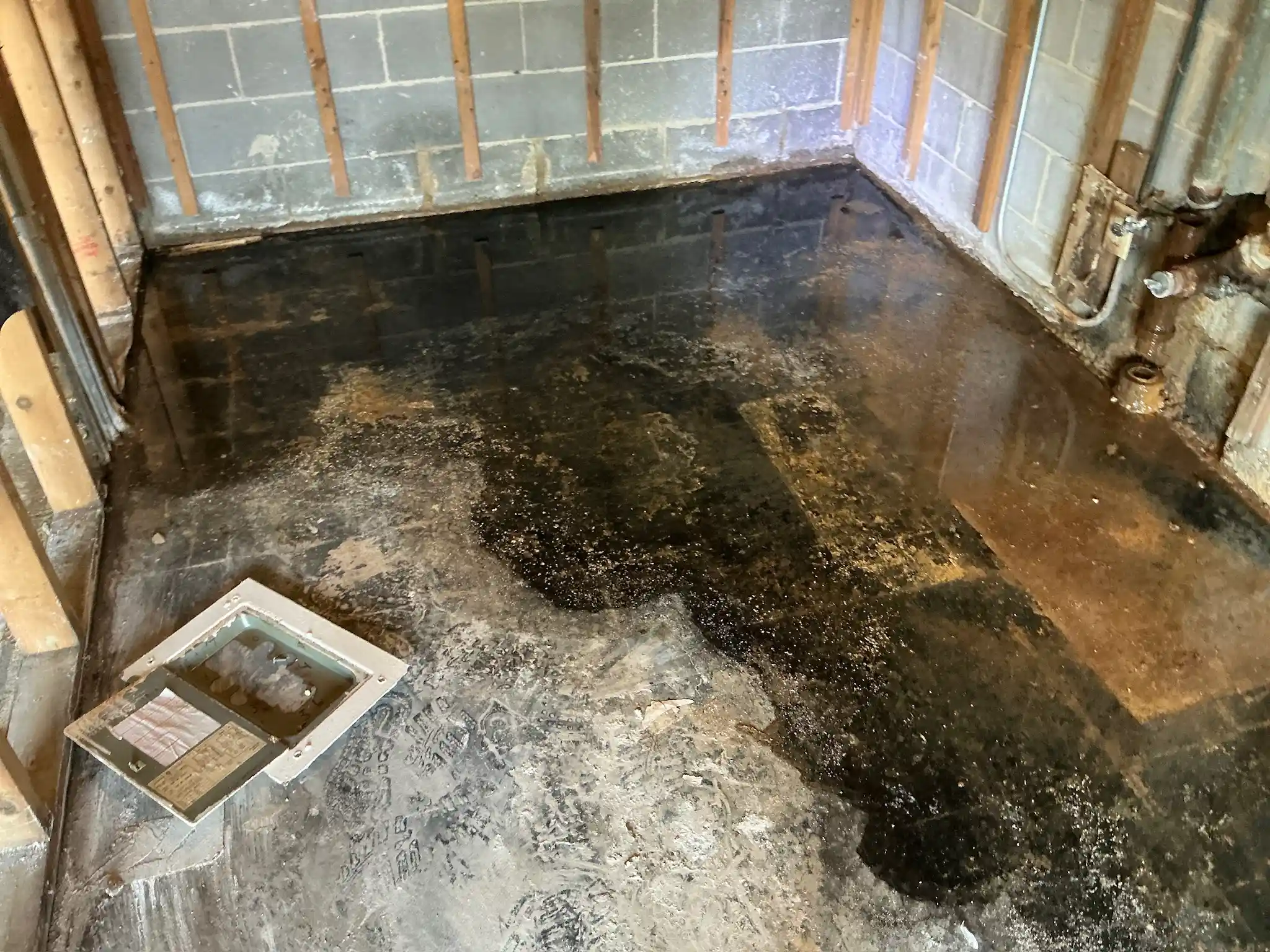 Mold found during a home inspection in Bedford Heights.