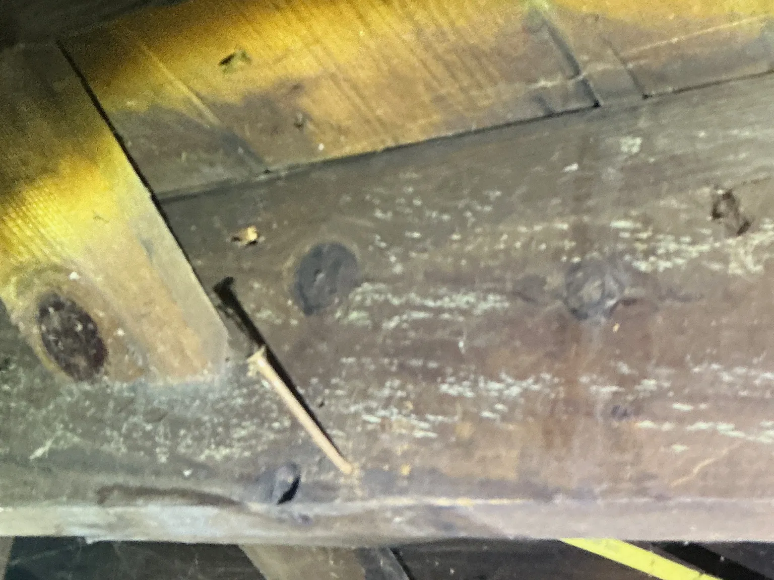 Mold found during a commercial mold inspection in Bedford Heights.