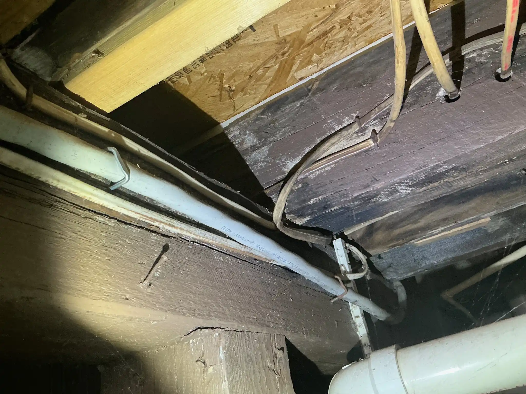 Look at what our mold inspector found in Bedford..