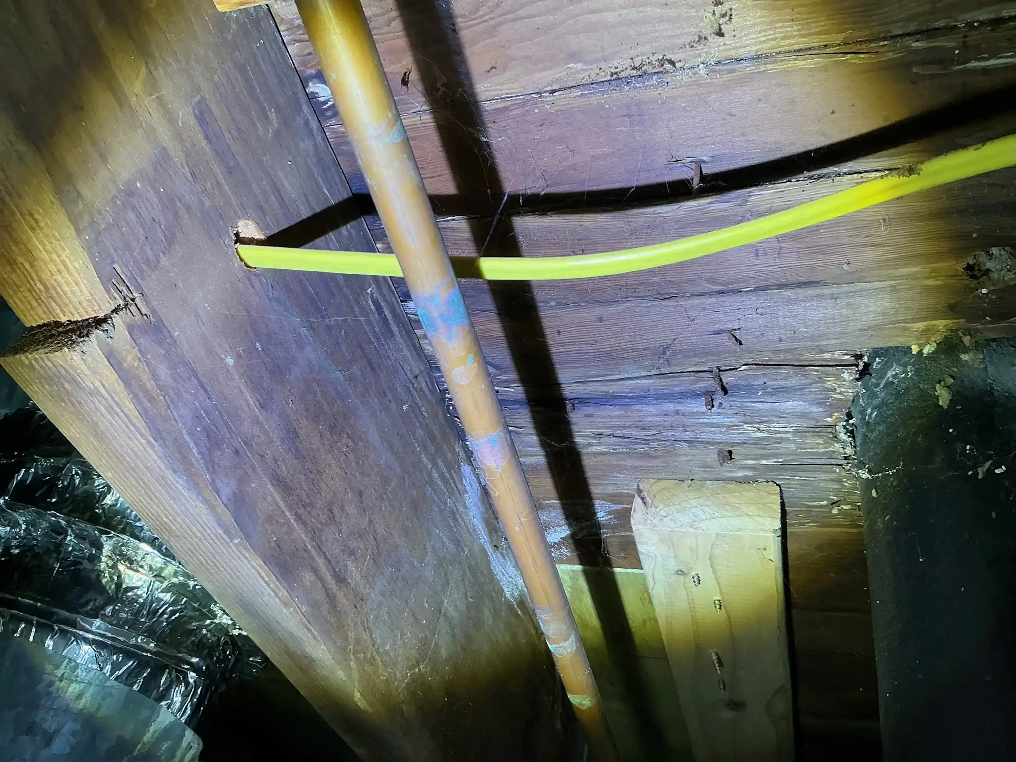 Mold found on a surface during an inspection in Bedford.