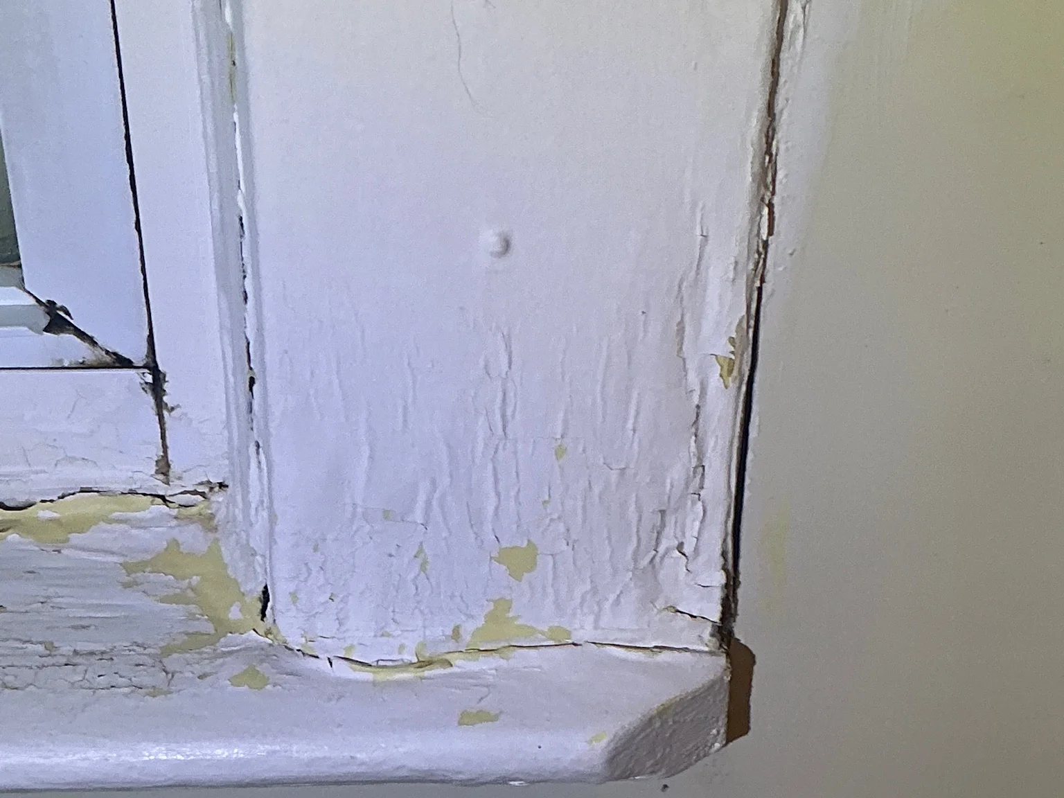 Mold found during a commercial mold inspection in Bedford.