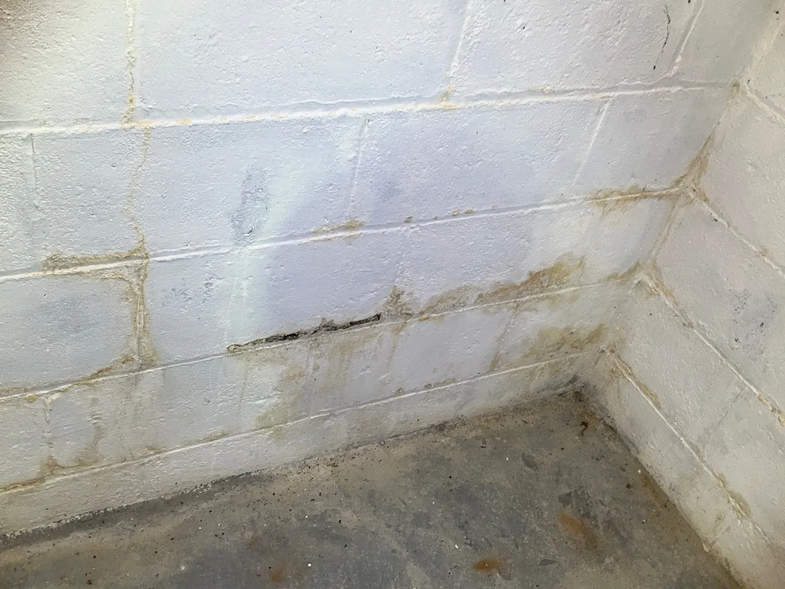 Look at what our mold inspector found in Berea..