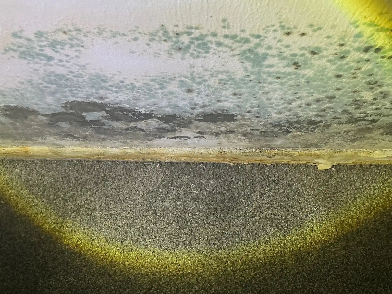 Mold found during a commercial mold inspection in Berea.