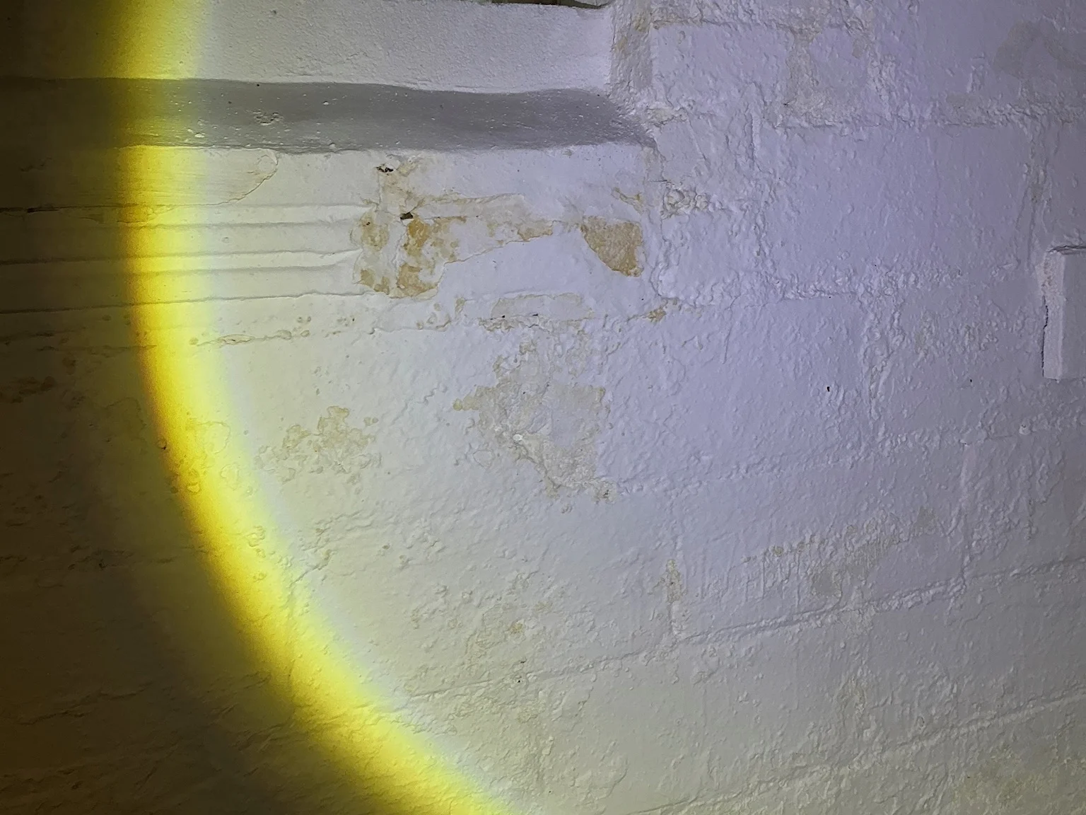 Mold found on a surface during an inspection in Bluestone.