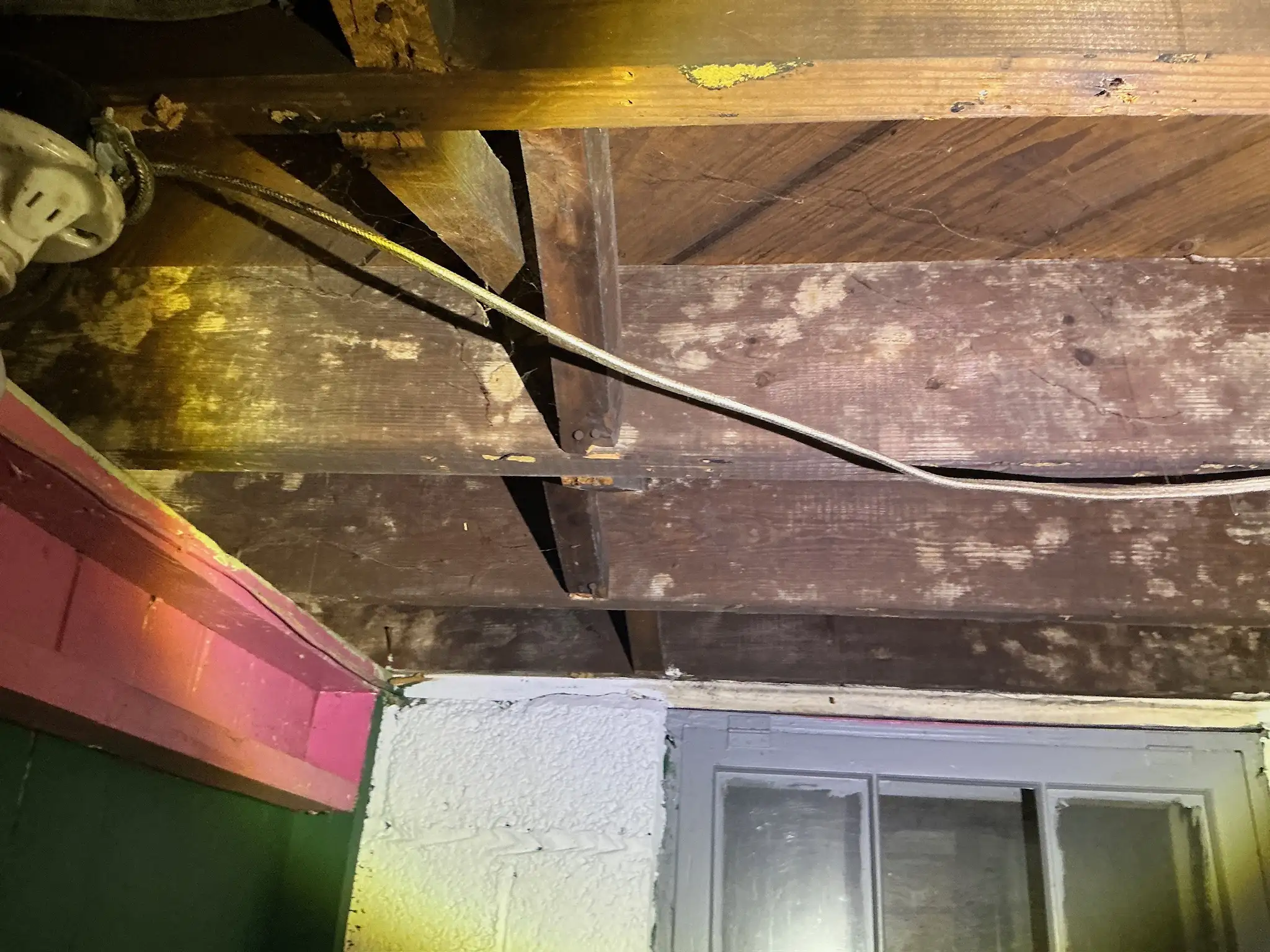 Our mold inspector found this surface mold in Bluestone.