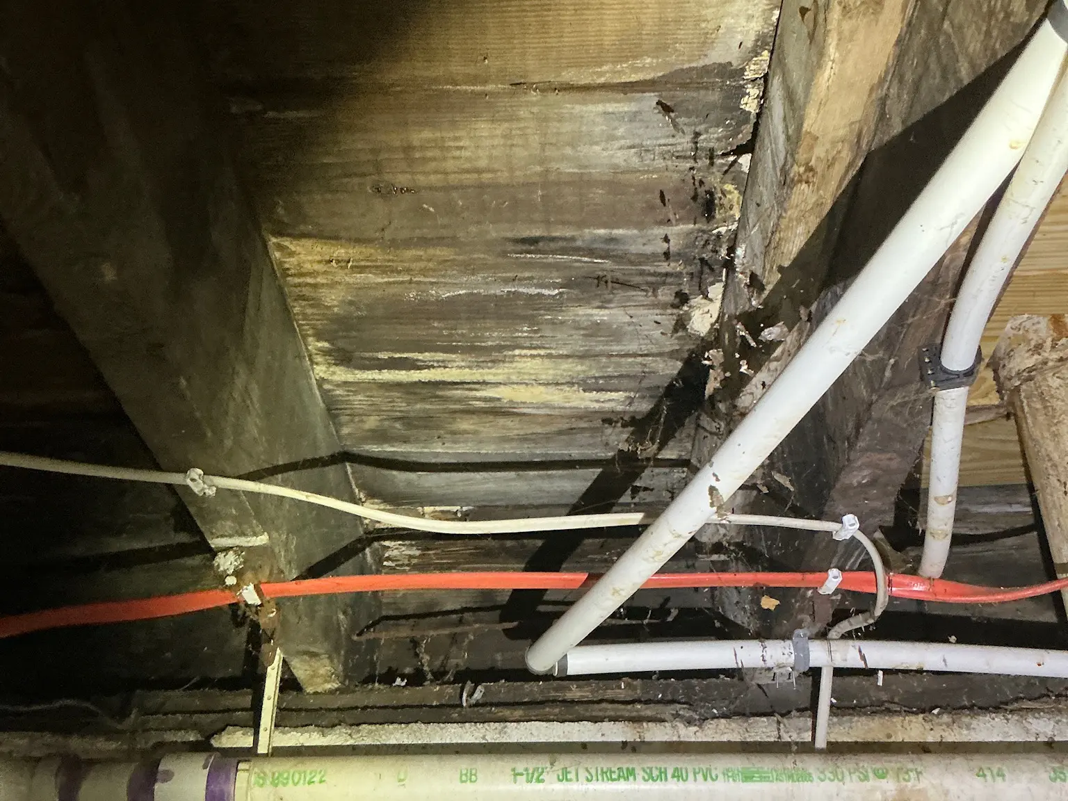 Mold found during a home inspection in Bluestone.