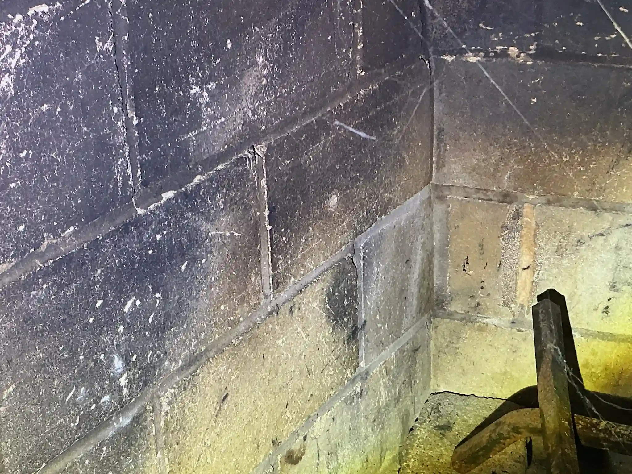 Mold found during a commercial mold inspection in Bluestone.