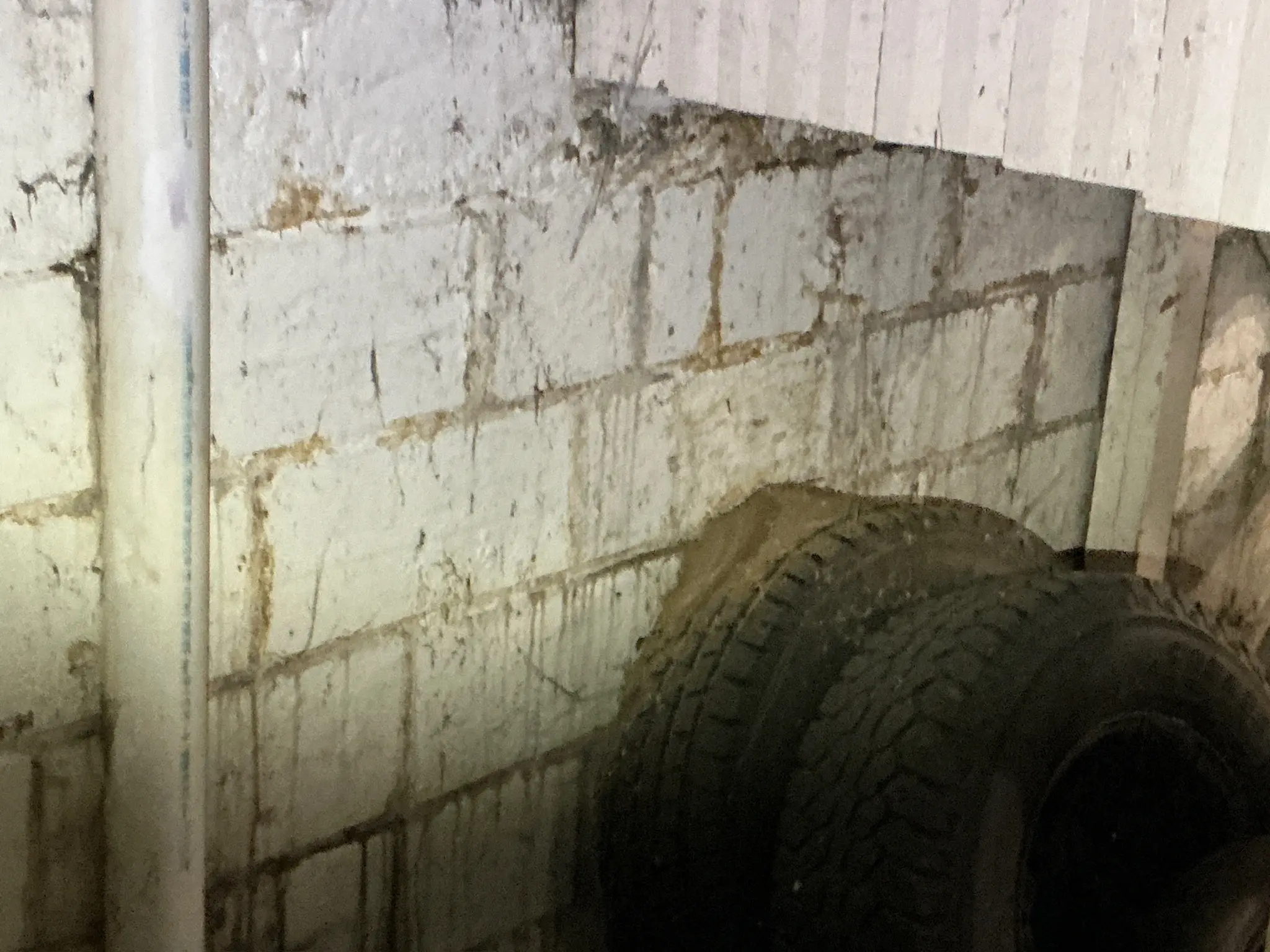 Mold found on a surface during an inspection in Boardman.
