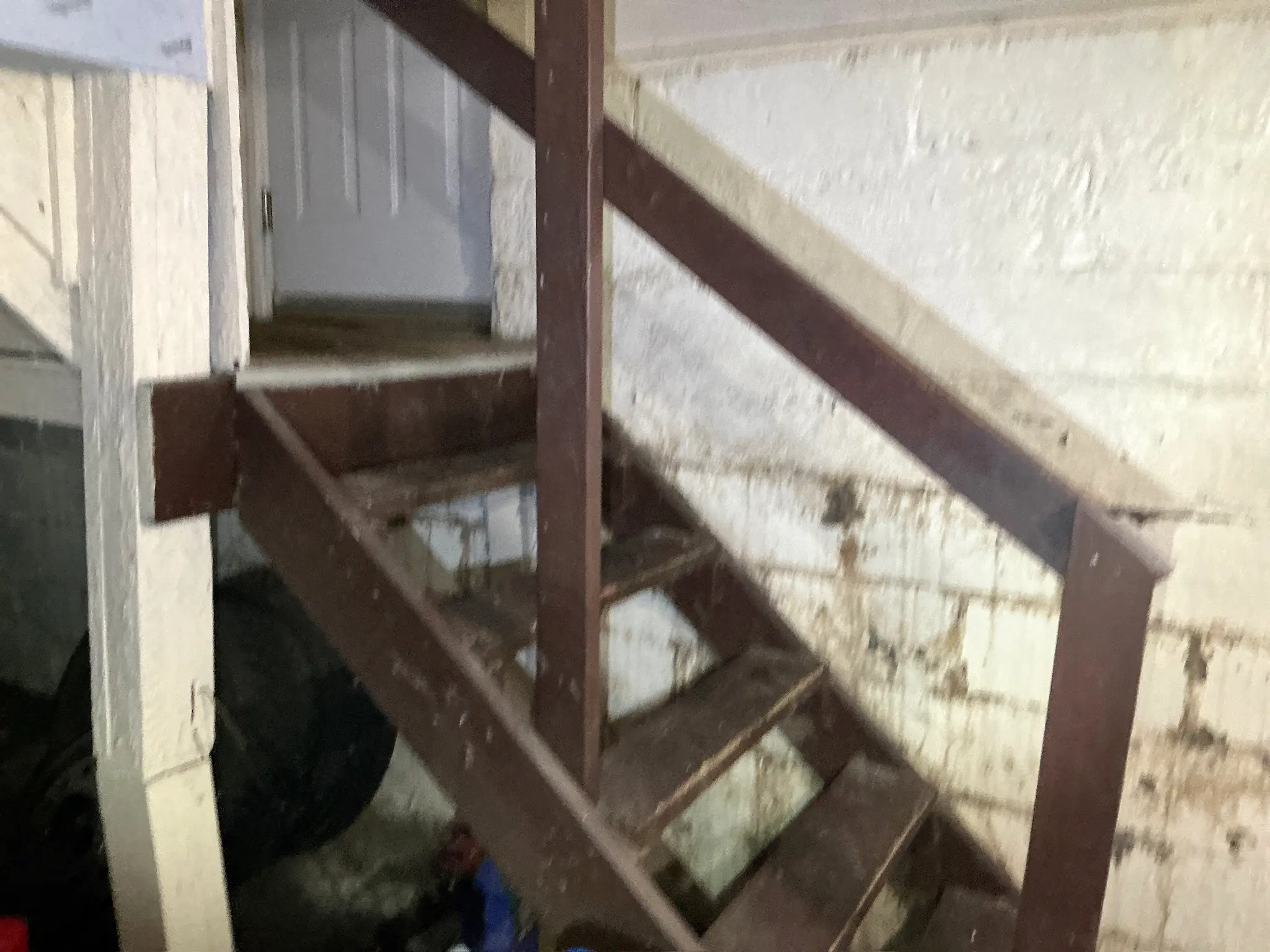Mold inspection in Boardman.
