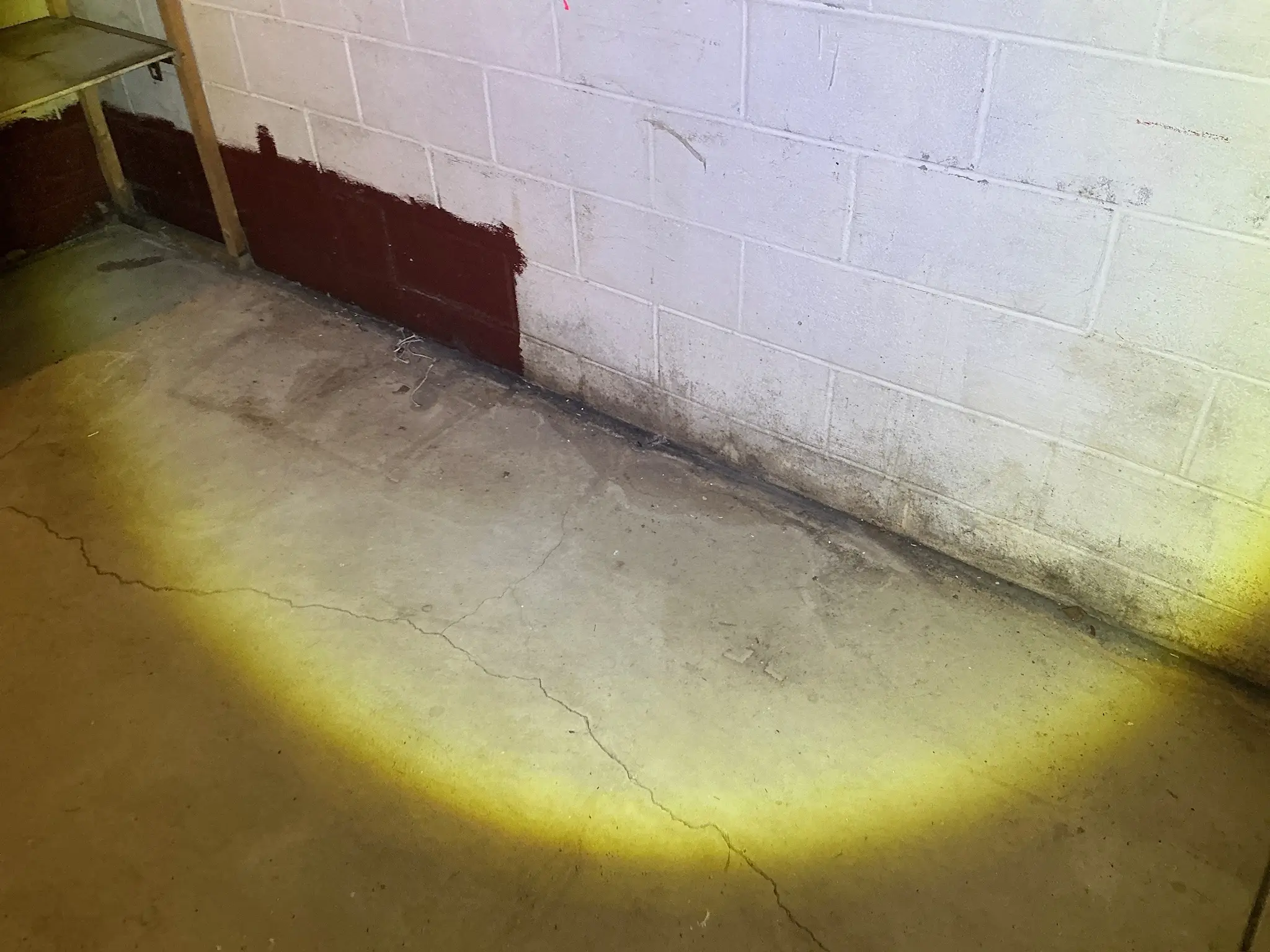 Mold found during a commercial mold inspection in Boardman.