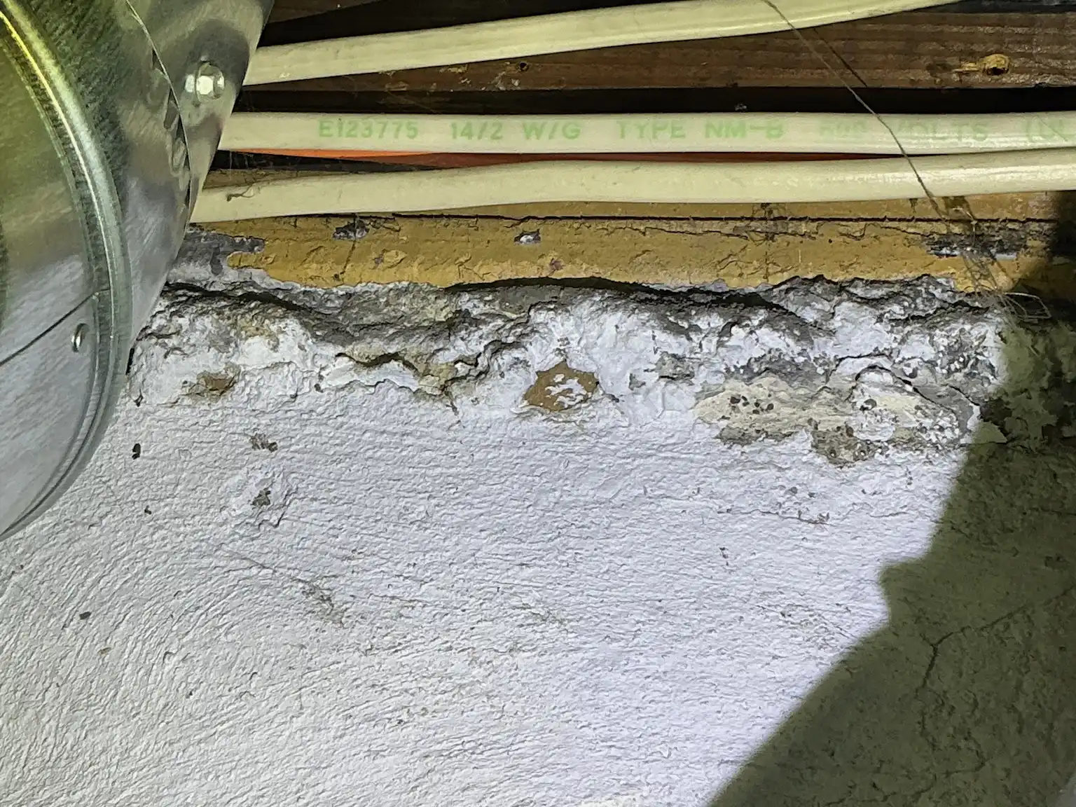 Mold inspection in Bolindale.