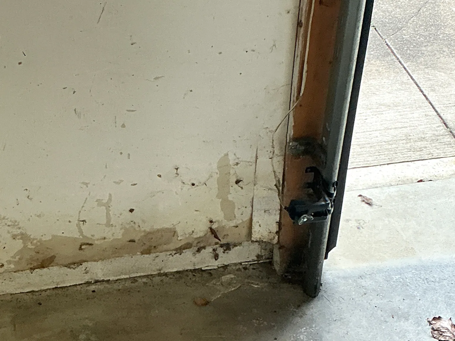 Mold found during a home inspection in Bolindale.