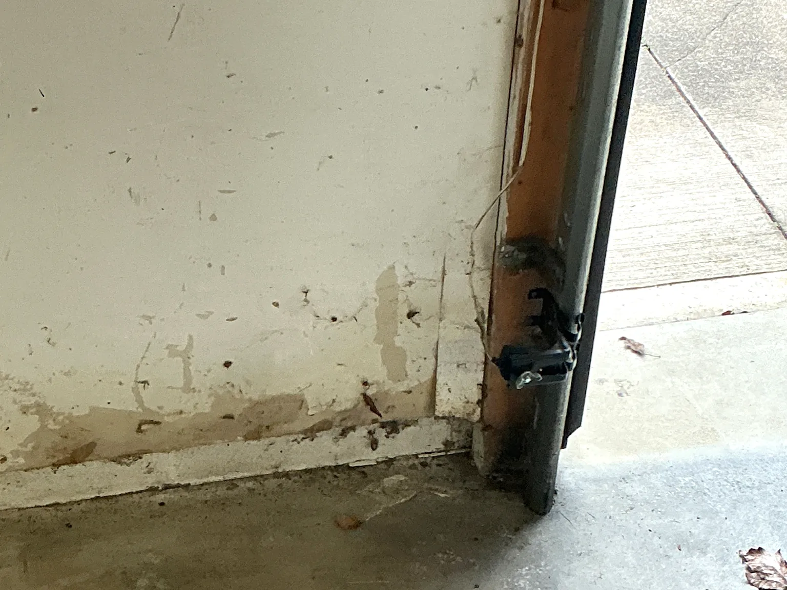 Mold found during a home inspection in Braceville.