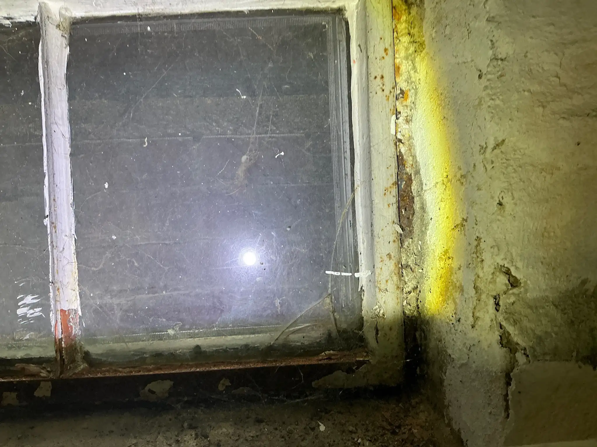 Mold found during a commercial mold inspection in Braceville.