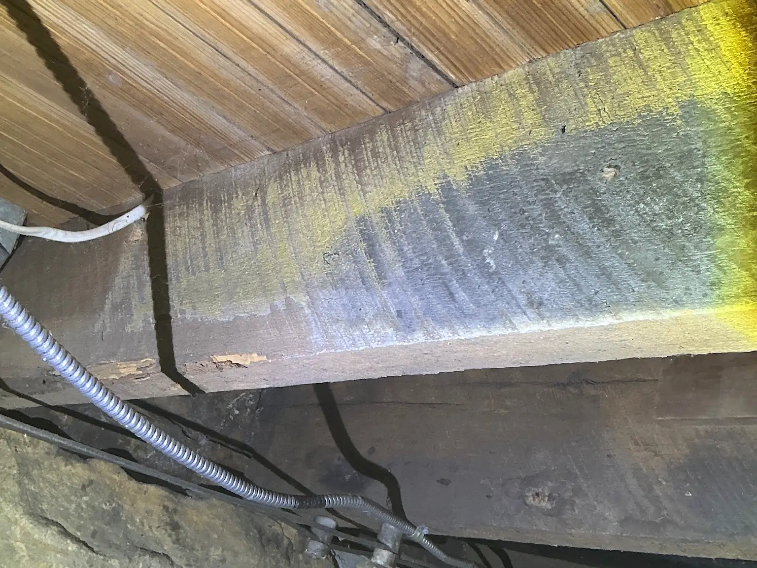 Mold found on a surface during an inspection in Brecksville.