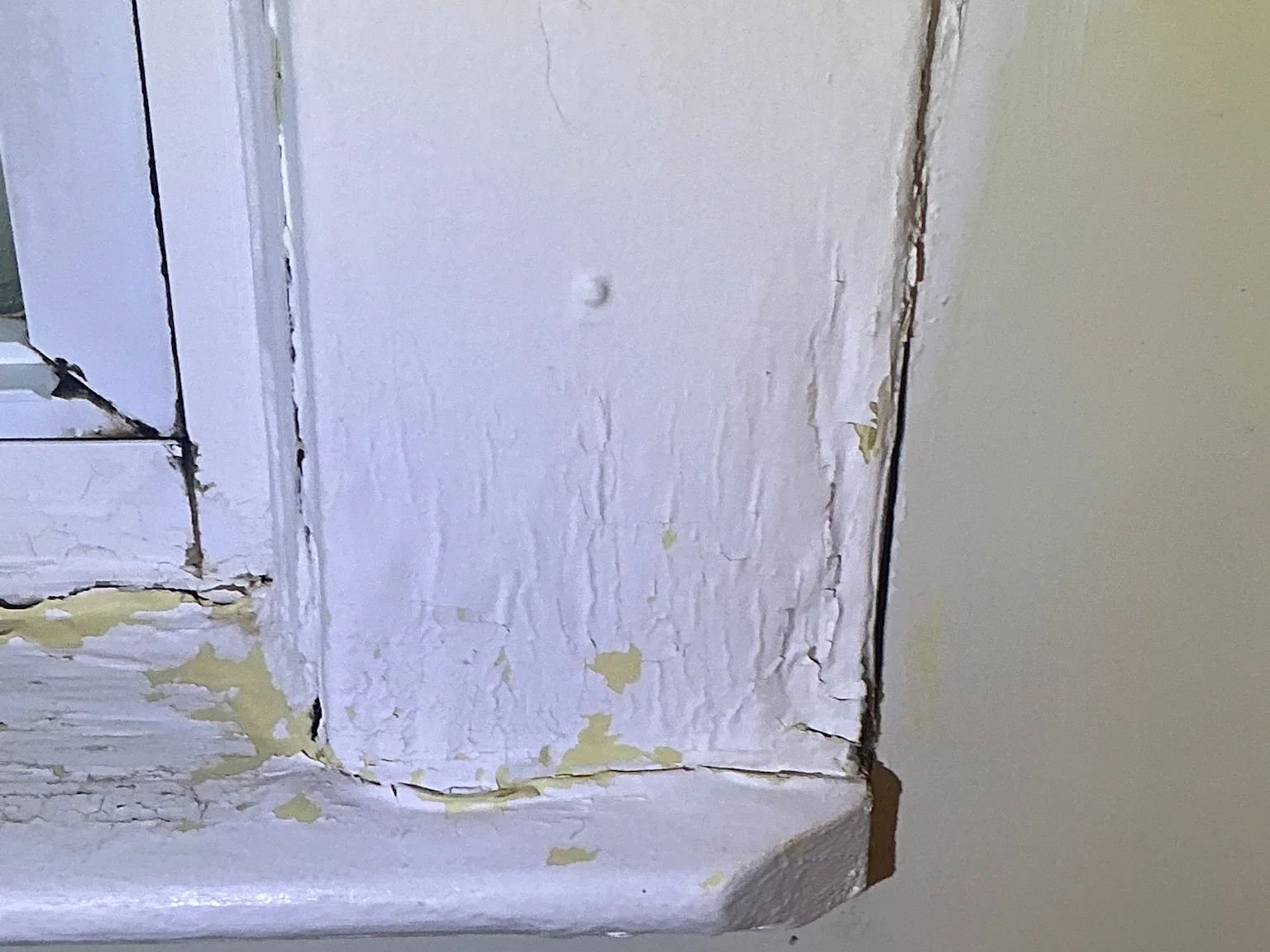 Mold inspection in Brecksville.