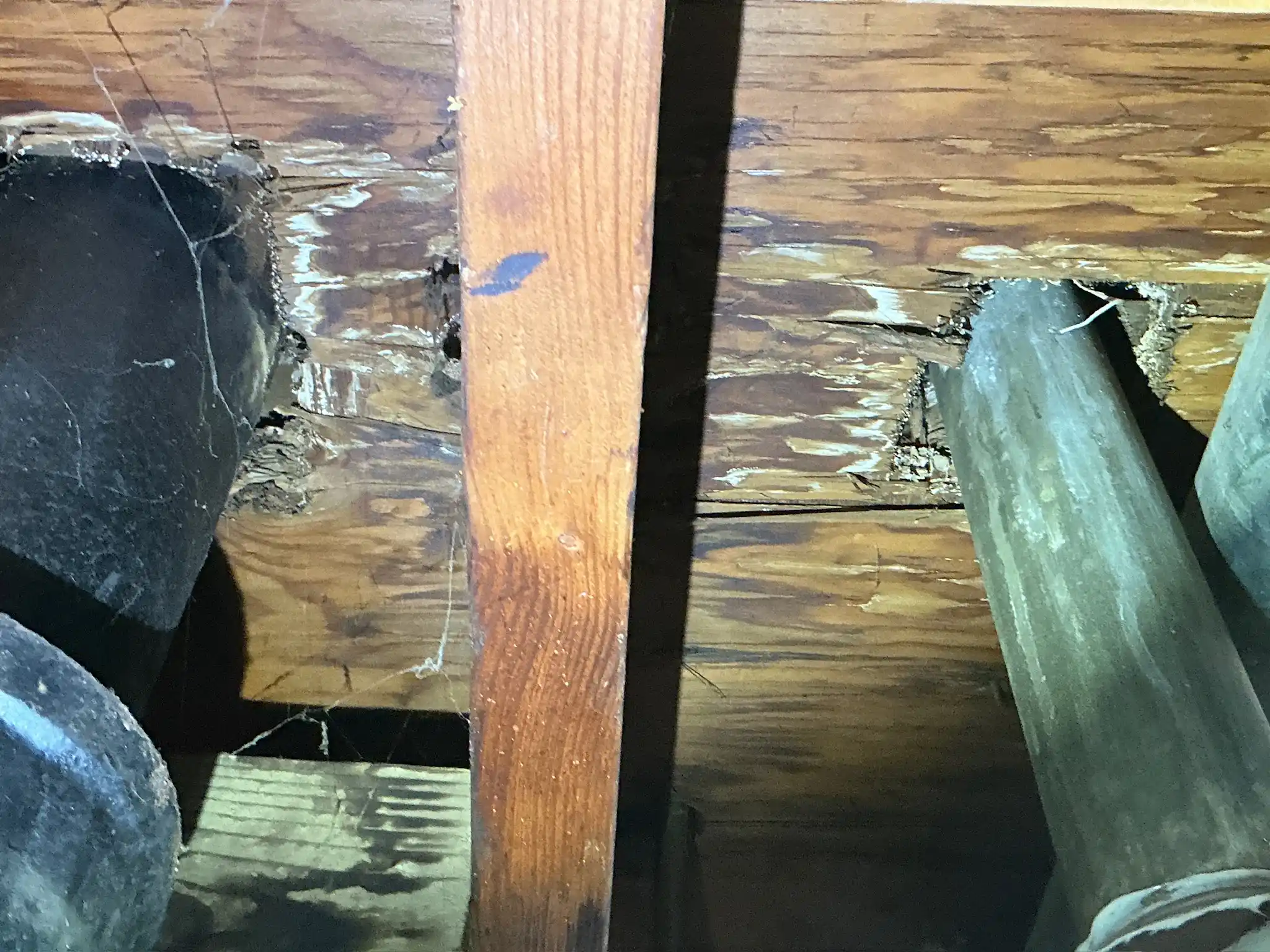 Mold inspection in Brewster.