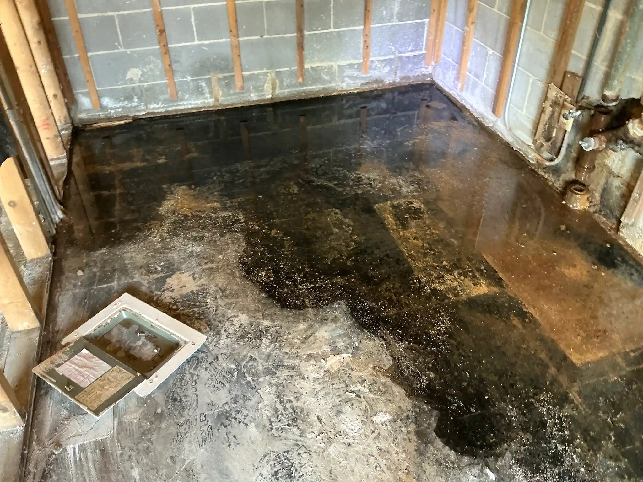 Mold found during a commercial mold inspection in Brewster.