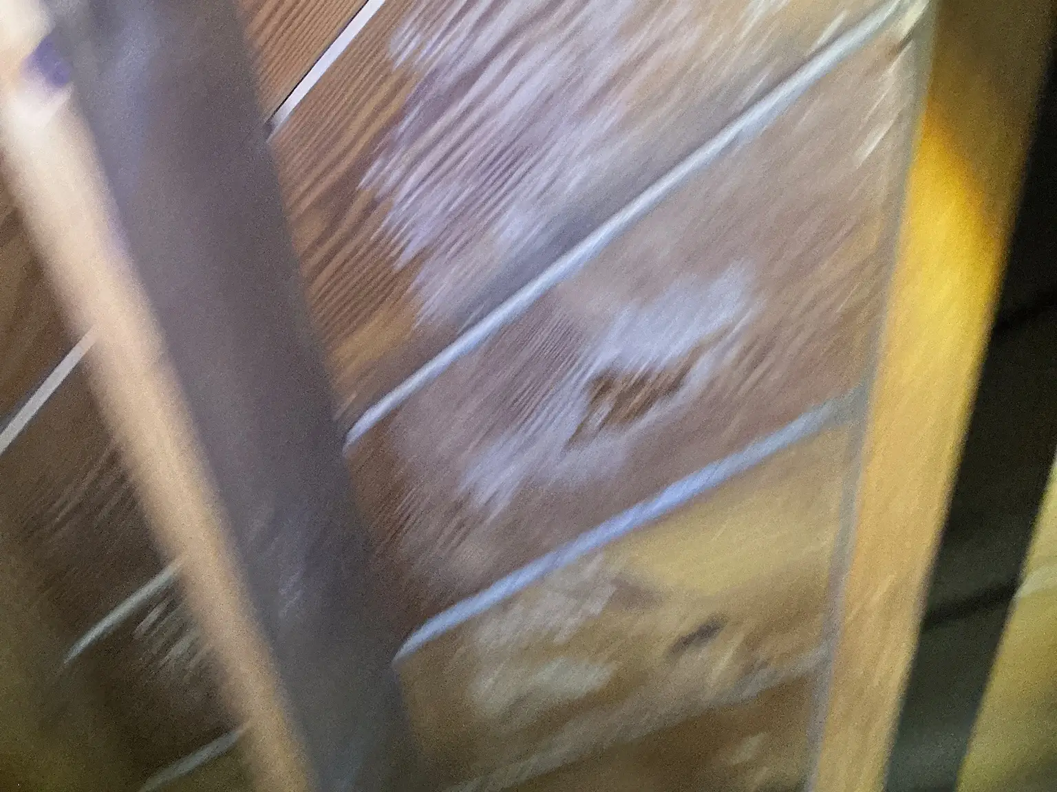 Look at what our mold inspector found in Brimfield..