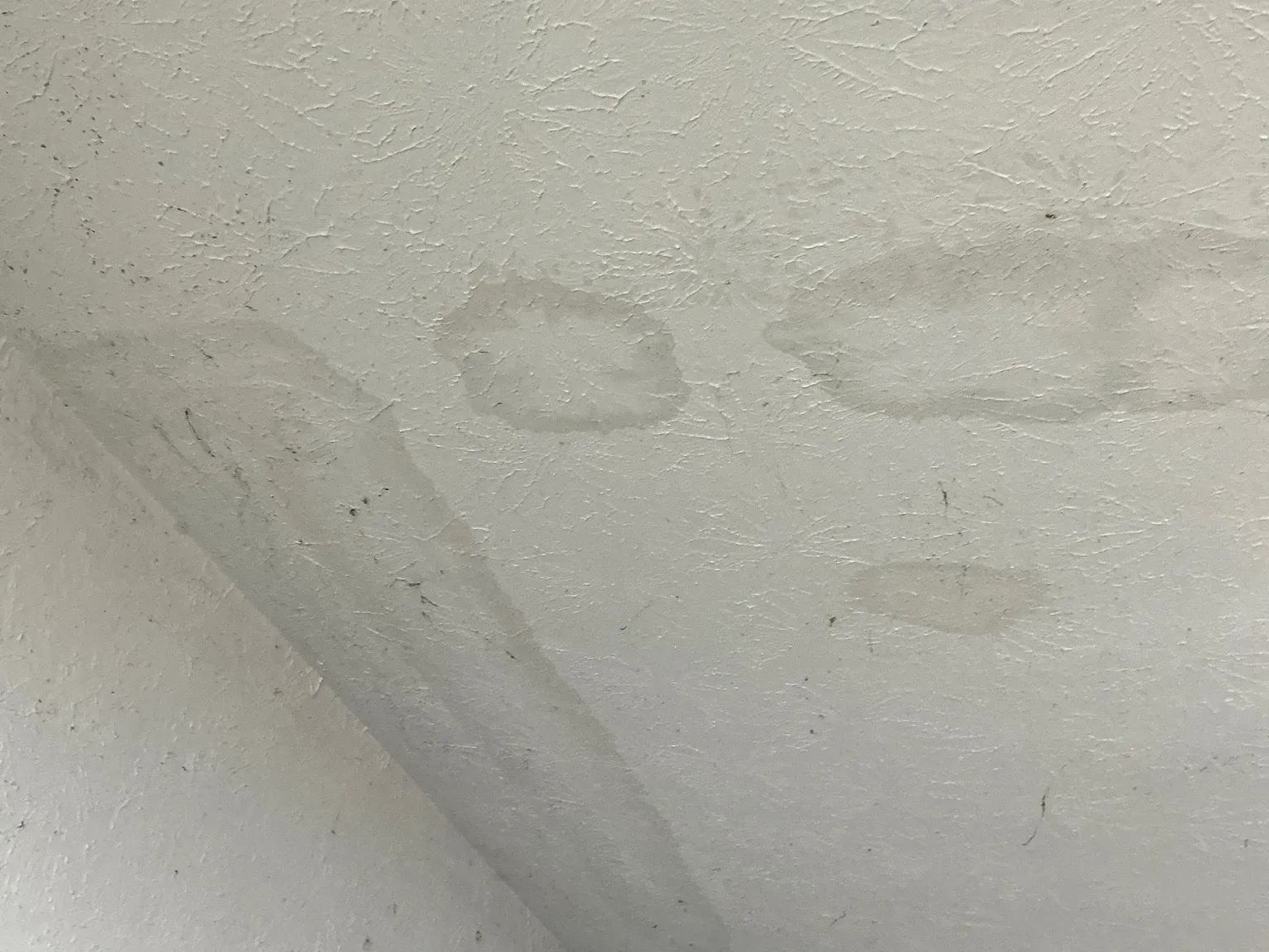 Mold found on a surface during an inspection in Brimfield.