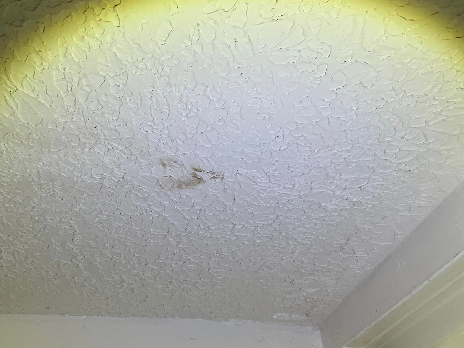 Mold inspection in Brimfield.