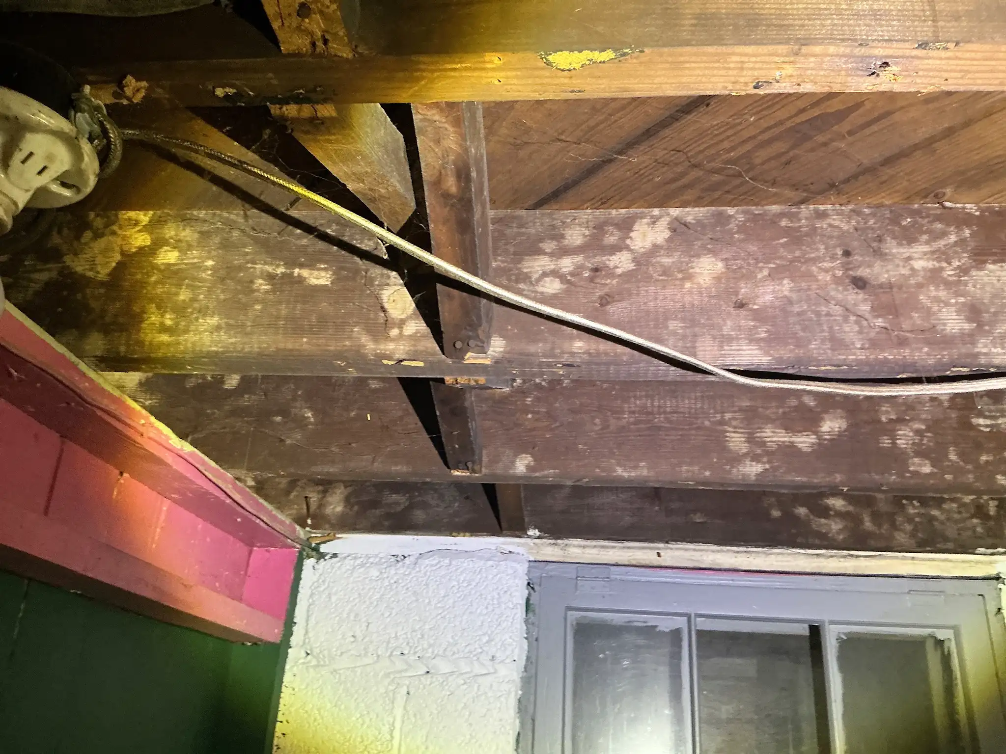 Our mold inspector found this surface mold in Brimfield.
